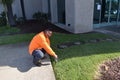 Irrigation Management